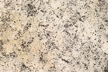 Uneven texture of seamless natural coquina shell rock wall made of sand and seashells. Grungy backdrop. Natural surface with small stones inclusion.