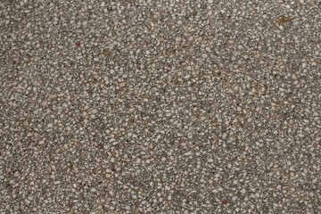 Close up a lot of small or tiny stones that are mixed with cement. The surface of concrete wall, flooring texture and background for web design and architect.