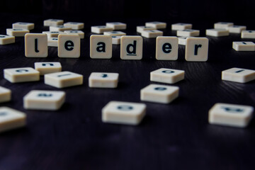 Word or phrase LEADER made with  letters on the wood, great image for your design.