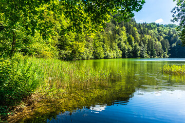 Obersee in the Allgäu with mountains and forests