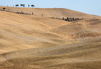 The rural landscape of the  Tuscany. Italy