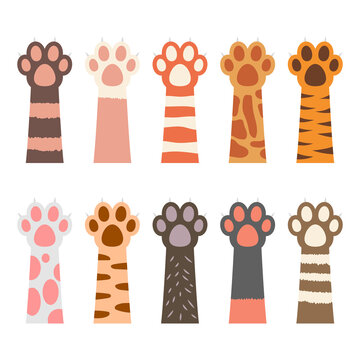 Cat paw vector design illustration isolated on white background
