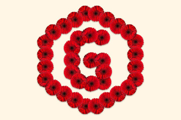 Letter G Daisy flower alphabet Logo with hexagon shape on isolated background. Decorative Floral Letter