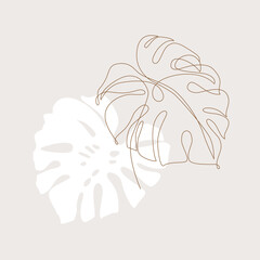 Minimal tropical art. Tropical monstera leaves silhouette and line art on pastel beige background © Tanya Syrytsyna
