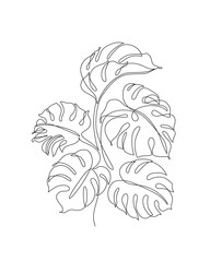 Elegant continuous line drawing. Minimal art leaves isolated on white backgroud.