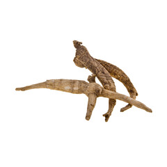 Ginseng or Dried Ginseng on a background new.