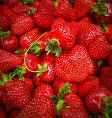 Juicy, tasty fresh strawberries. Collection of fresh red strawberries. Strawberries in a basket. Berry background