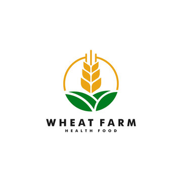 Wheat farm logo design, Agriculture icon logotype vector illustration