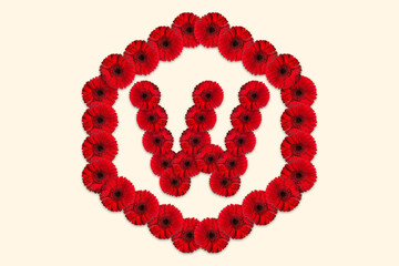 Letter W Daisy flower alphabet Logo with hexagon shape on isolated background. Decorative Floral Letter