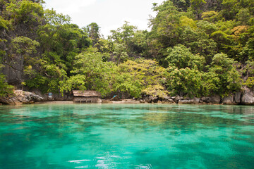 Fototapeta na wymiar Green lagoon, Coron island, Philippines. Tropical paradise of Philippines islands, Palawan, Philippines