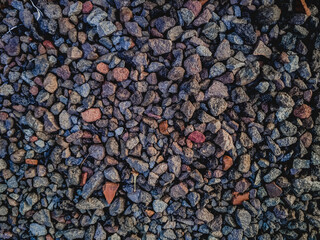 background of red lentils