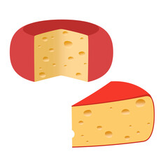 Pieces of cheese on a white background. Vector illustration