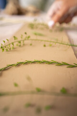 Top view of a plants lying on the clay piece while being used for creation of a special ornament on it. Creative process. Work with rolling pin.