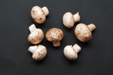 Agaricus bisporus or champignon on black isolated background