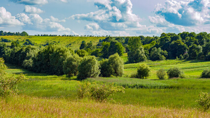 rural landscape with plain and trees