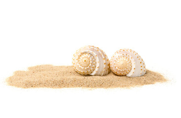 Obraz na płótnie Canvas Spirall sea shells in sand pile isolated on white background