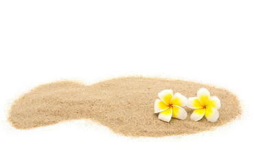 Fototapeta na wymiar Beatiful plumeria flowers on sand. Isolated on white background