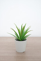 Artificial plant. Artificial green plants in a flowerpot on white wooden background - home decoration.