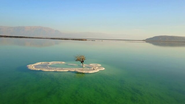 Aerial panning shot of dead tree in salt lake near buildings against sky, drone flying over dead sea near mountains on sunny day