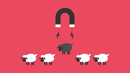 Black sheep business , outstanding, different, competitive advantage concept ,Vector cartoon design