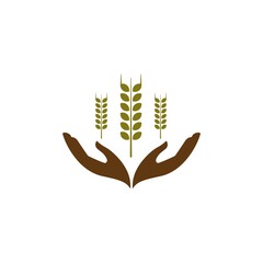hand wheat vector design template illustration