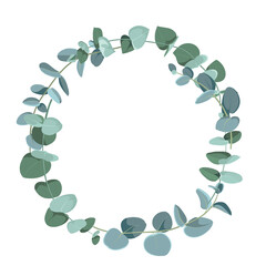 Eucalyptus tropical plant in form of circle on white background. Flat tropic border.