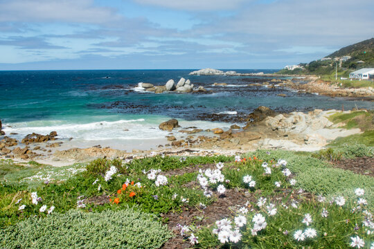 Pretty bay with wild flowers