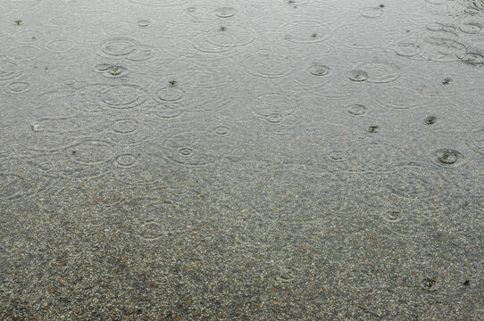Charco de agua de lluvia con gotas y ondas
