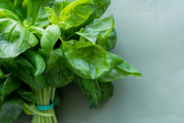 bunch of green basil on a dark green background
