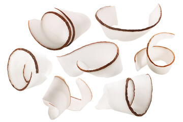 Coconut shavings, curls or rolled up slices of kernel meat, isolated w clipping paths - obrazy, fototapety, plakaty