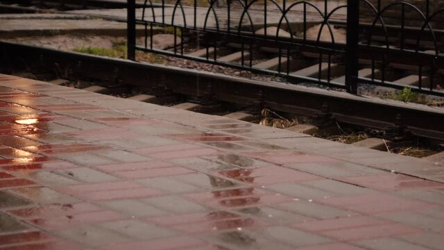 tram stop in the rain