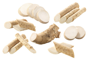Sliced Horseradish roots (Armoracia rusticana taproot), isolated w clipping paths