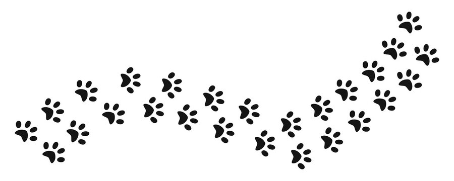 Track of cat dog tracks, footprint, design. Footprints of cat, turn right. Vector illustration.