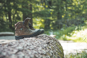 Obraz premium Hiking holiday concept: Worn out Alpine boots on a tree trunk
