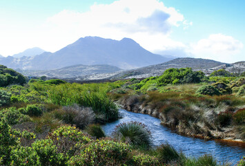 Fototapeta na wymiar mountain landscape with river