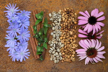 Flat lay  of  options roasting types and mint, cinnamon, chicory, echinacea  on  rustic iron