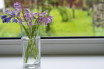 Bouquet of bluebells, Hyacinthoides, Asparagaceae in a vase on a window