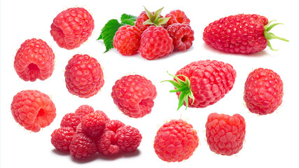 Raspberries, singles and in piles, with leaves, fresh, different varieties.  Rubus idaeus fruits isolated w clipping paths