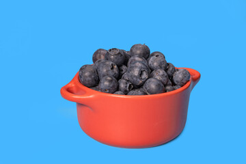 fresh blueberry in a mug on a blue background