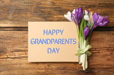 Beautiful spring crocus flowers and phrase HAPPY GRANDPARENTS DAY on wooden table, flat lay