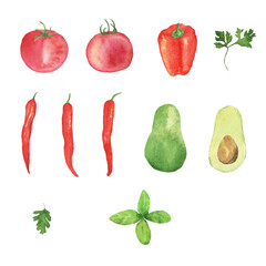 Watercolor set of avocado, chilli, tomatoes, pepper and seasonal greens isolated on white background. Clip art. Food concept. Vegetables for healthy organic food design.
