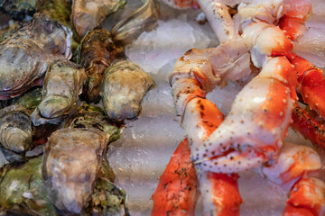 Crab legs on the ice and sea shells, seafood fresh mix