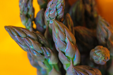 Obraz na płótnie Canvas Asparagus close-up. Fresh green asparagus on a bright yellow clear background. 