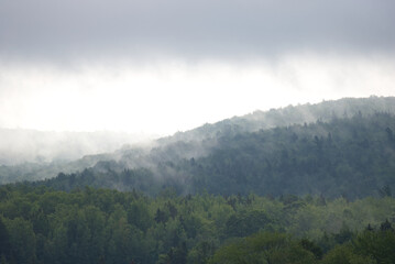 green Tree covered hills in the mist and fog in the morning 