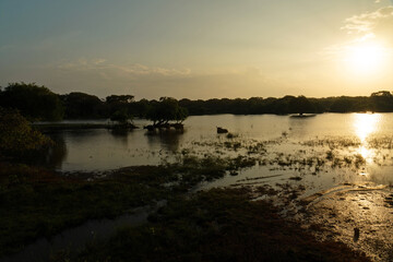 Fototapeta na wymiar Sunrise lake landscape, Yala National Park, Sri Lanka
