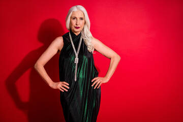 Photo of attractive beautiful aged grey haired lady luxury night evening makeup arms by sides...