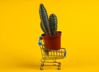 Shopping concept. Supermarket trolley with cactus in pot on yellow studio background. Minimalism