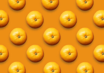 Whole fresh oranges on orange background. Set of colorful citrus fruit pattern.