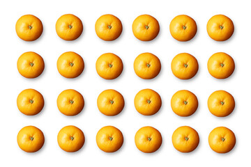 Fruit pattern on white background. Orange, Clementine, Tangerine.