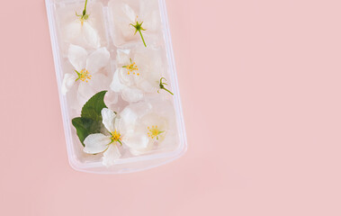 Apple blossoms are frozen in water in an ice tray